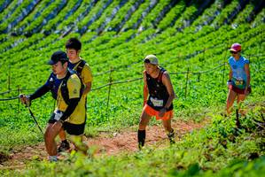 BIB: 2300
                            <button type="button" onclick="openModal(19163491)" class="btn btn-primary btn-sm float-right btn-popup" data-toggle="modal" data-target=".modal-high-quality">
                        <i class="fas fa-shopping-cart"></i> Add to Cart
                    </button>
                                            <button type="button" onclick="isThisMe(19163491, true)" class="btn btn-success btn-sm float-right btn-popup btn-isme hidden" data-toggle="tooltip" data-placement="bottom" title="นี่คือรูปของคุณใช่ไหม คลิกที่นี่เพื่อเอาเข้าอัลบั้ม">
                        <i class="fas fa-plus"></i> Add to album
                    </button>
                    <button type="button" onclick="isThisMe(19163491, false)" class="btn btn-warning btn-sm float-right btn-popup btn-isnotme hidden">
                        <i class="fas fa-ban"></i> Remove from album
                    </button>